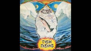 Steve Hillage - Fish Rising (1975) [Full Album]