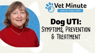 Vet Minute: Dog Urinary Tract Infection and Bladder Infection in Dogs