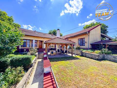 Sfantu Gheorghe Central,9camere,271mp utili,teren 547mp,4 intrari,garaj 59mp,potential:business,investitie,locuinta — Video
