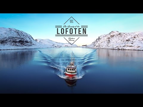 The Beauty of the Lofoten | Aerial Video in 4K