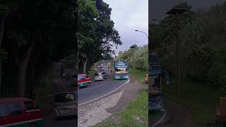 Download lagu LAGU APA NI🥺🥺 #shorts #ayah #busmania mp3 Download lagu LAGU APA NI🥺🥺 #shorts #ayah #busmania mp3