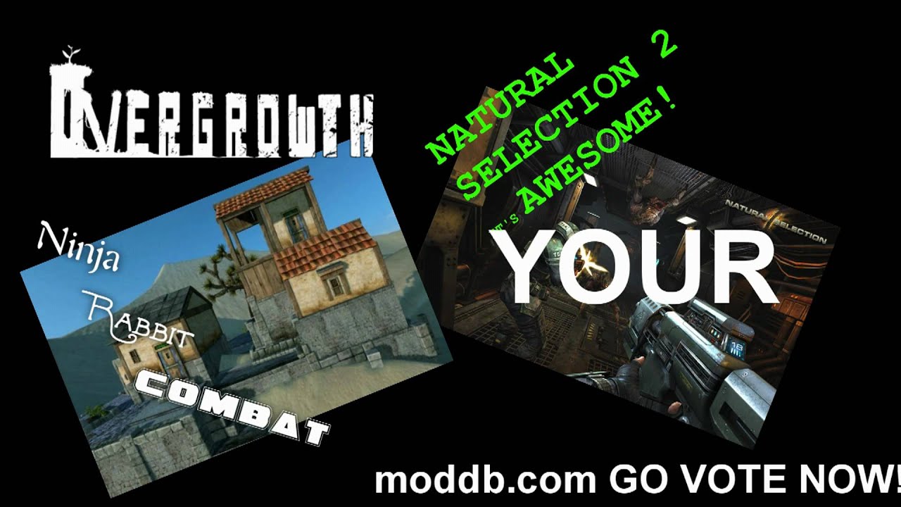 Moddb.com: Top 100 Mods of 2009!  GO VOTE
