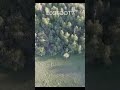Drone Captures Footage Of Bigfoot In SE Idaho RUNNING FOR COVER Shorts BigfootCaughtOnCamera