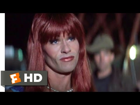 The Adventures of Priscilla, Queen of the Desert (1994) - Now You're F***ed Scene (6/8) | Movieclips