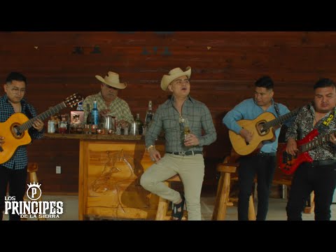 Los Principes De La Sierra - Corrido A Adrian Hernandez (Video Oficial)