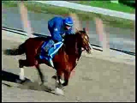 The Works: Discreet Cat