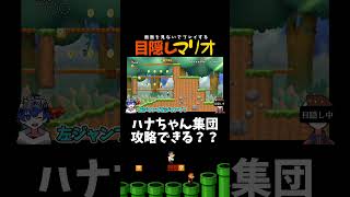 団体ハナちゃん攻略しろ！！！【目隠しマリオ】