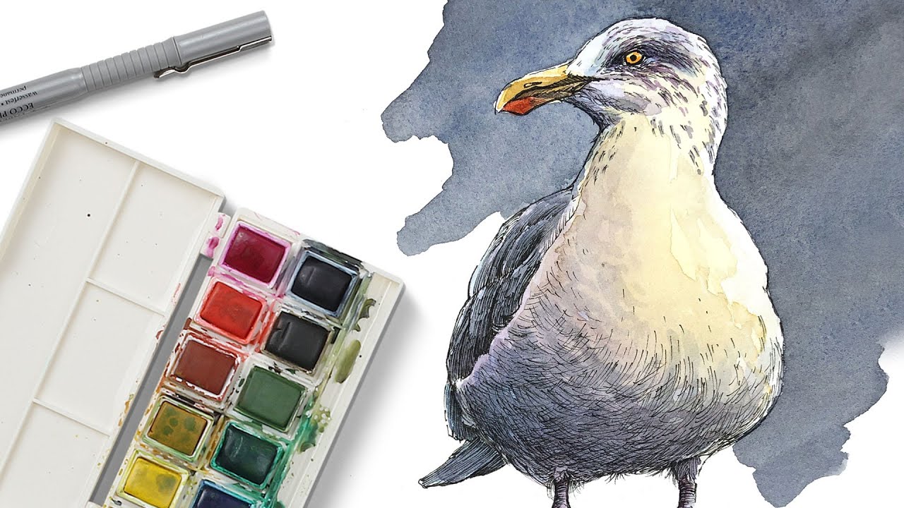 INK and WATERCOLOR - Seagull