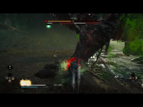 Assassin's Creed Valhalla - La saga dimenticata - Urtgardhr Rots - NIDHOGG Drago