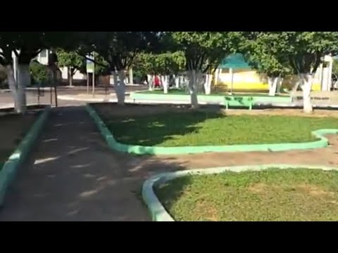 Tour pela cidade de ponto  chique 