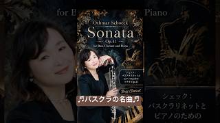 Download lagu 🎵 バスクラで外せない名曲｜シェック《ソナタ Op.41》 mp3