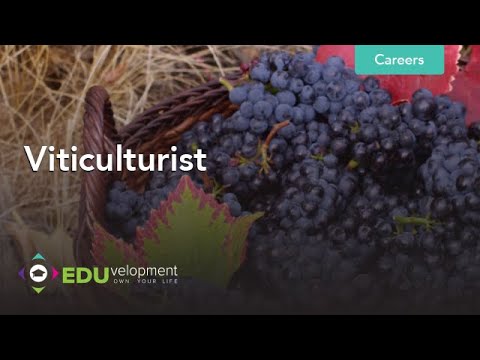Cultivating Excellence: Discover the World of a Viticulturist!