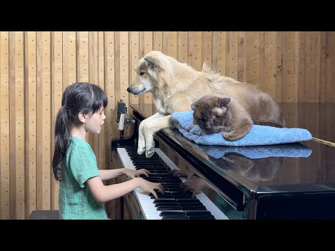 Emilie Plays Piano for Sharky the Dog and Satang the Cat