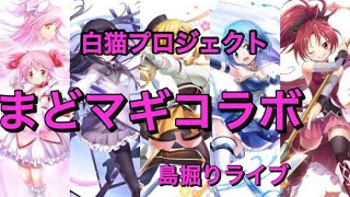 白猫プロジェクト　まどマギコラボ島堀しようず　協力も歓迎
