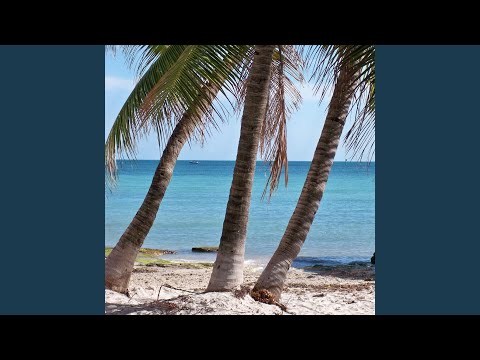 A Little Time In The Sand - Todd Trusty