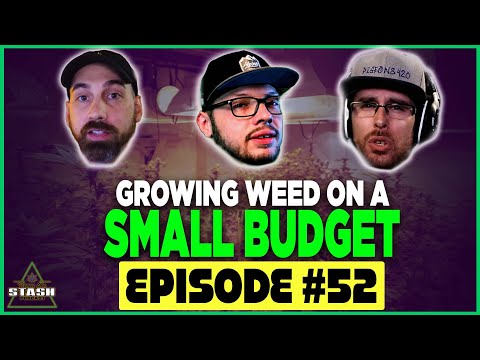 Growing Weed on a Small Budget - From the Stash Podcast Ep. 52