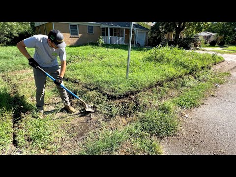 It was almost a RECORD how much OVERGROWTH I REMOVED