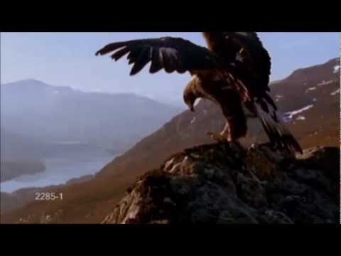 EL PASTOR SOLITARIO   Gheorghe Zamfir   Einsamer Hirte   MUSICA CLASSICA