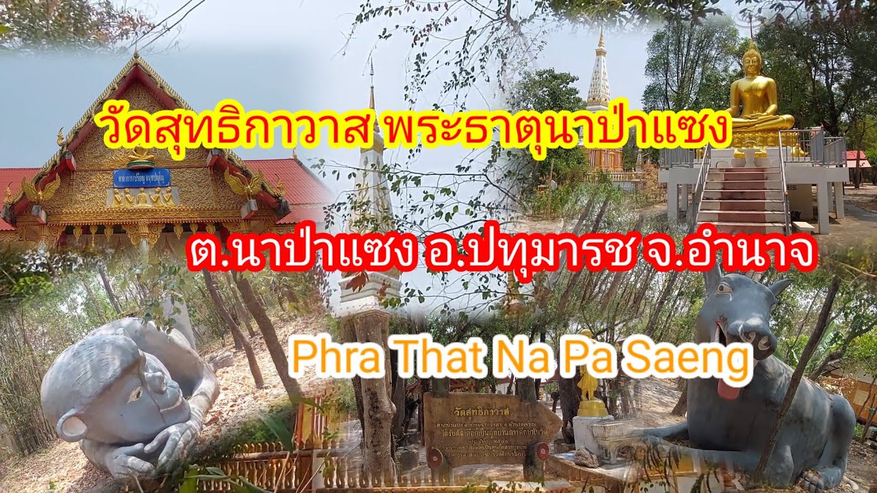 พระธาตุนาป่าแซง