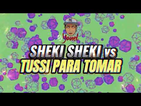 sheki sheki VS tussi pa tomar dj yanel (guaracha fiestera )