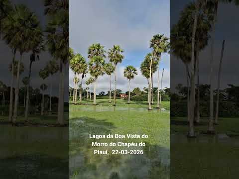 Lagoa da Boa Vista do Morro do Chapéu do Piauí,  22-03-2026