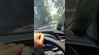 Download lagu Story nyetir mobil di Alas Gumitir #shorts mp3 Download lagu Story nyetir mobil di Alas Gumitir #shorts mp3