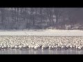 Winter's End