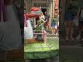 ONLY in New Orleans! A turtle parade and it was SLOW lol. #turtle #wildlife #unique #fun #parade