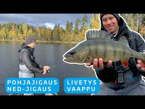 KILON AHVENIA NELJÄLLÄ TYYLILLÄ