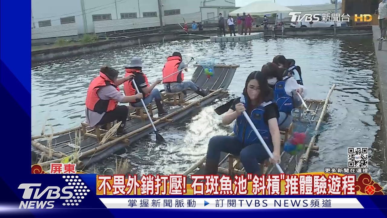 養殖轉型抗景氣！石斑魚池推體驗遊程　甲魚池開發生態箱