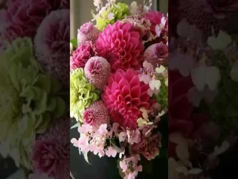 ١٤ فبراير، ٢٠١٧