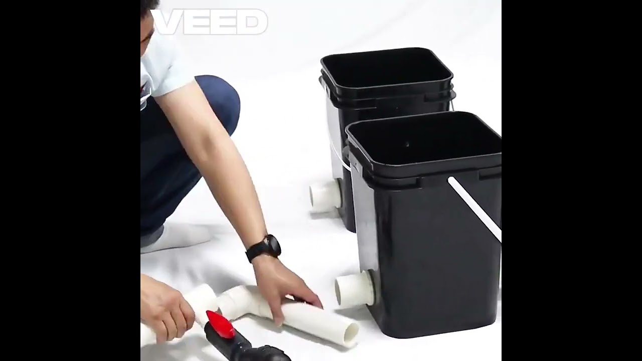 RDWC Hydroponic Systems: Complete Setup & Grow Guide