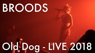 BROODS - Old Dog (NEW SONG: Live @Neon Gold X, Knockdown Center, NY 2018)