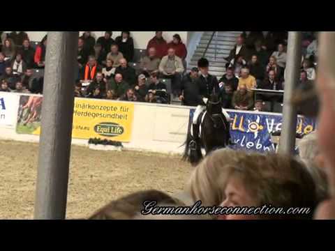 Strahlemann.VER.2011.wmv