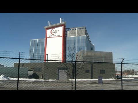 Bloomington Today: The BUZZ February 28 – March 6