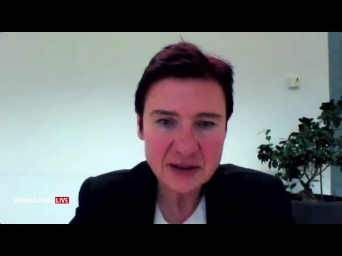 Ökonomin Schratzenstaller über ineffizienten Föderalismus