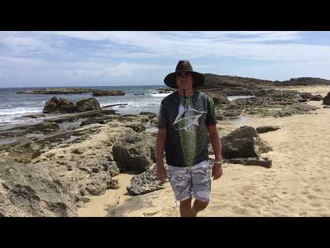 A Beautiful Beach on a Beautiful Day