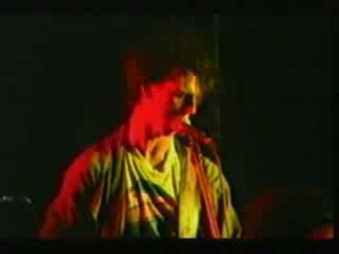 Videoclip de I Hate Nerys Hughes — Half Man Half Biscuit