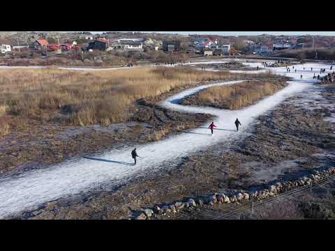 Rördammen 31 Jan 2021