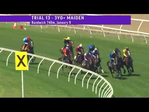 Parisal trials at Randwick