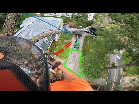 A delightfully easy tree for a Monday