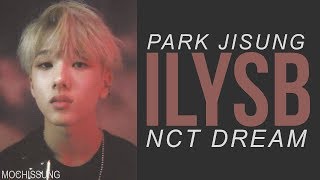 Download lagu 【nct fmv】jisung • ilysb mp3