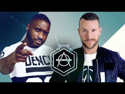 Lethal Bizzle - Fester Skank (Don Diablo Remix) | Official Audio
