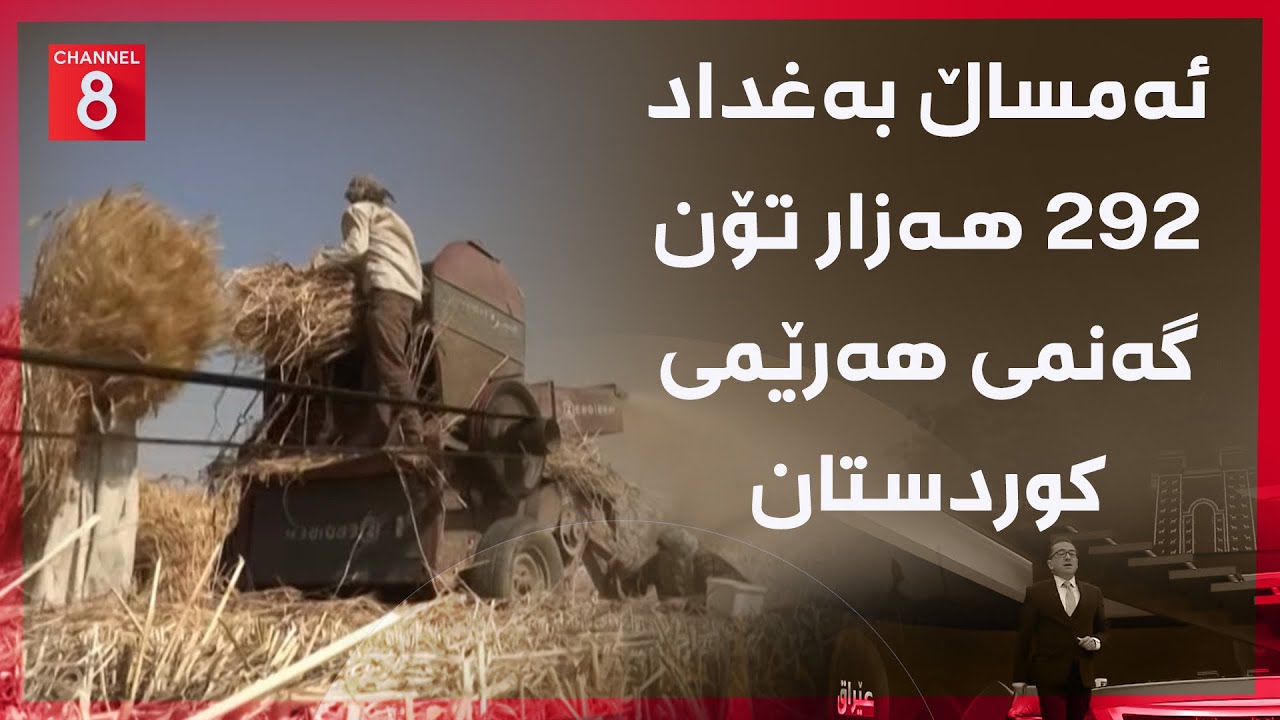 ڤیدیۆ | عێراق - ئەمساڵ بەغداد ٢٩٢ هەزار تۆن گەنمی هەرێمی کوردستان وەردەگرێت