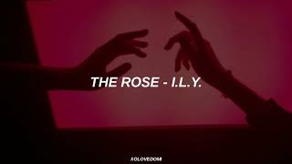 The Rose - I.L.Y //  Versión en Español