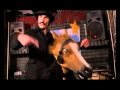 Amazing Horse - Get On My Horse - The Nerd ...