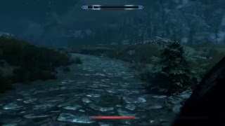 The Dodo's adventures