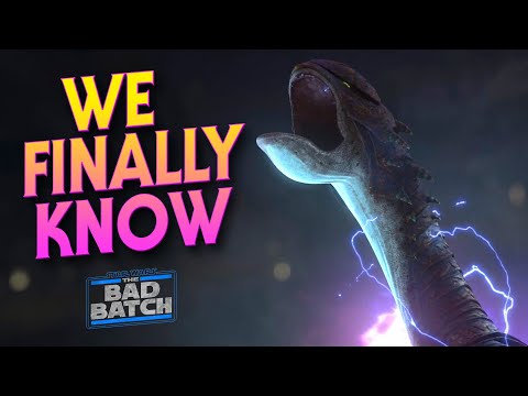 We FINALLY Know What Happened to the Zillo Beast!