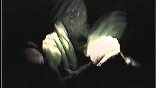 SAM PHILLIPS FASTEST HANDS IN THE WORLD ANCIENT ART FORM/REAL DRUMS