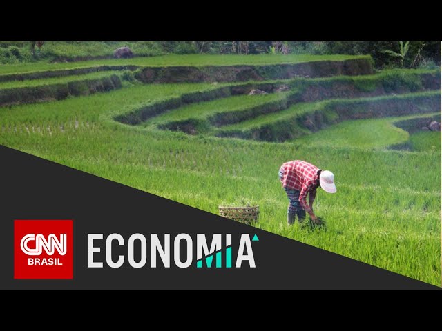 Crescimento sustentado da agropecuária garante PIB surpreendente no trimestre | CNN NOVO DIA